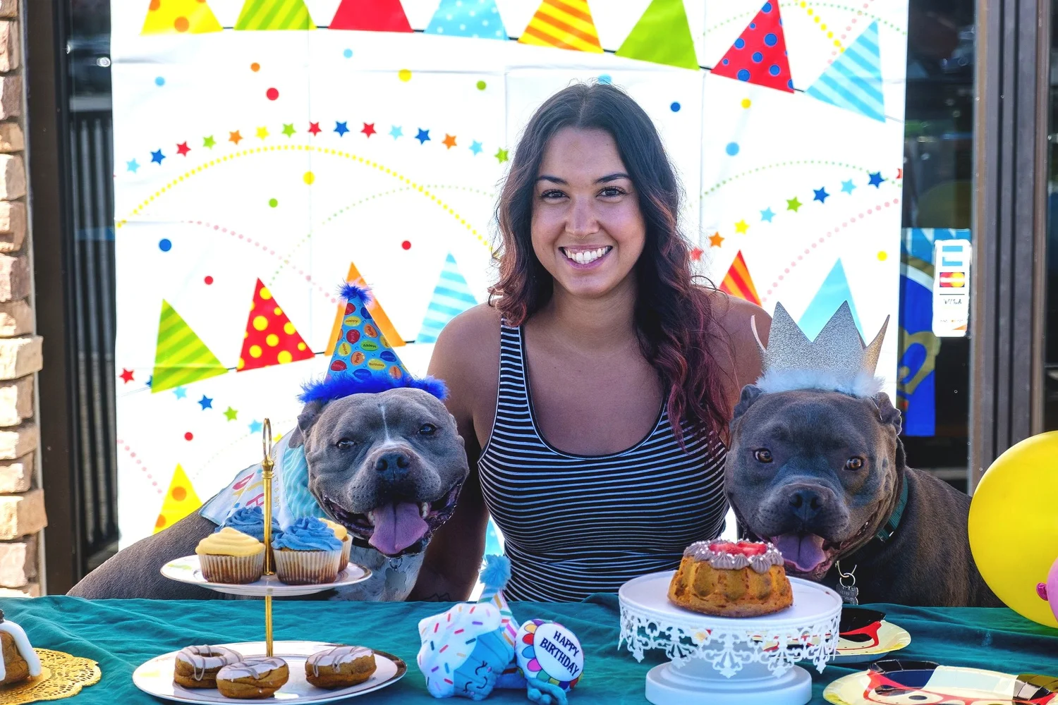 The baker with Snacks and dog desserts
